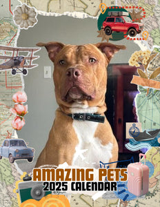Amazing Pets: 2025 Wall Calendar (Pre-Order)