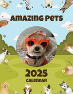 Amazing Pets: 2025 Wall Calendar (Pre-Order)