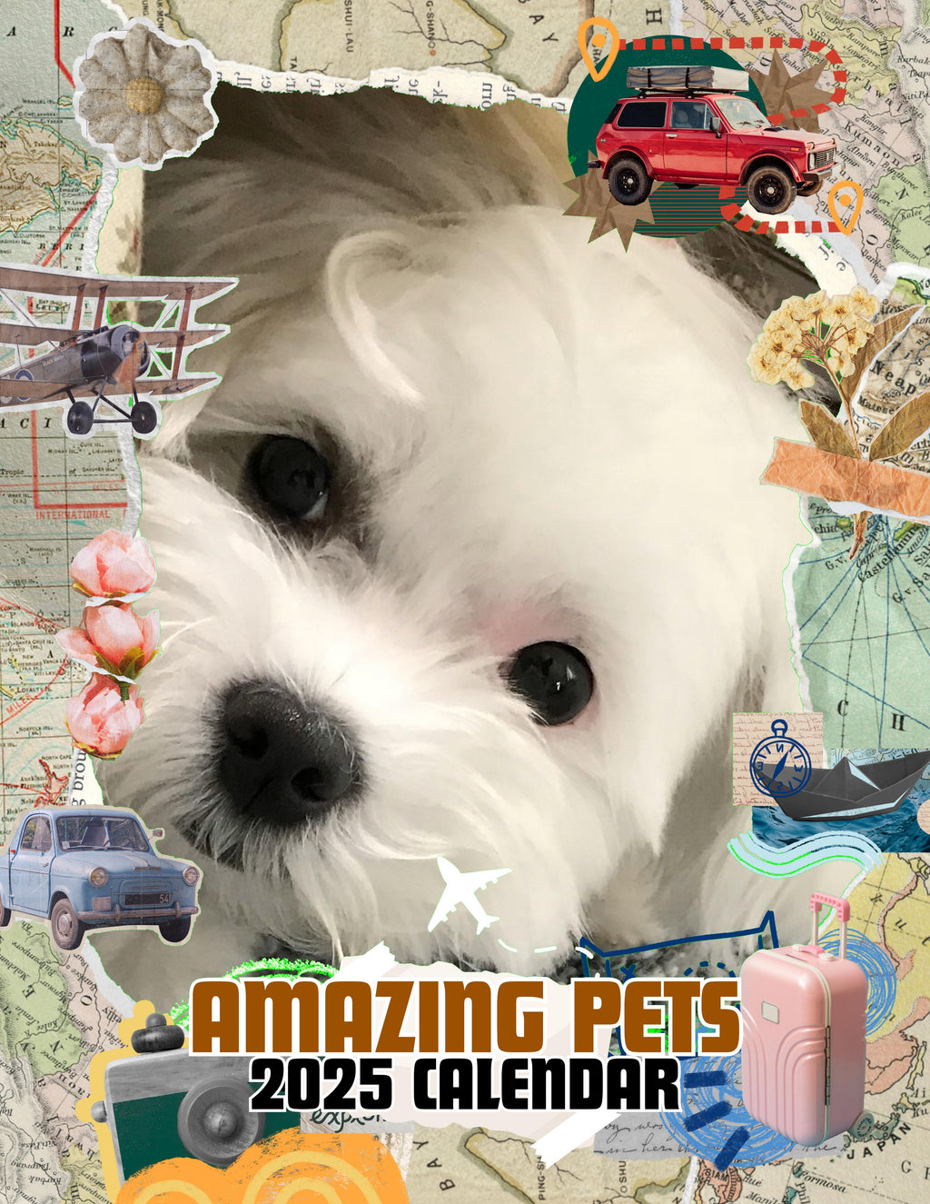 Amazing Pets: 2025 Wall Calendar (Pre-Order)