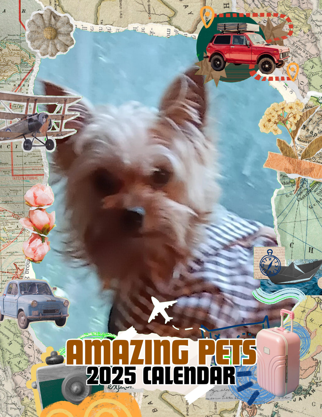 Amazing Pets: 2025 Wall Calendar (Pre-Order)