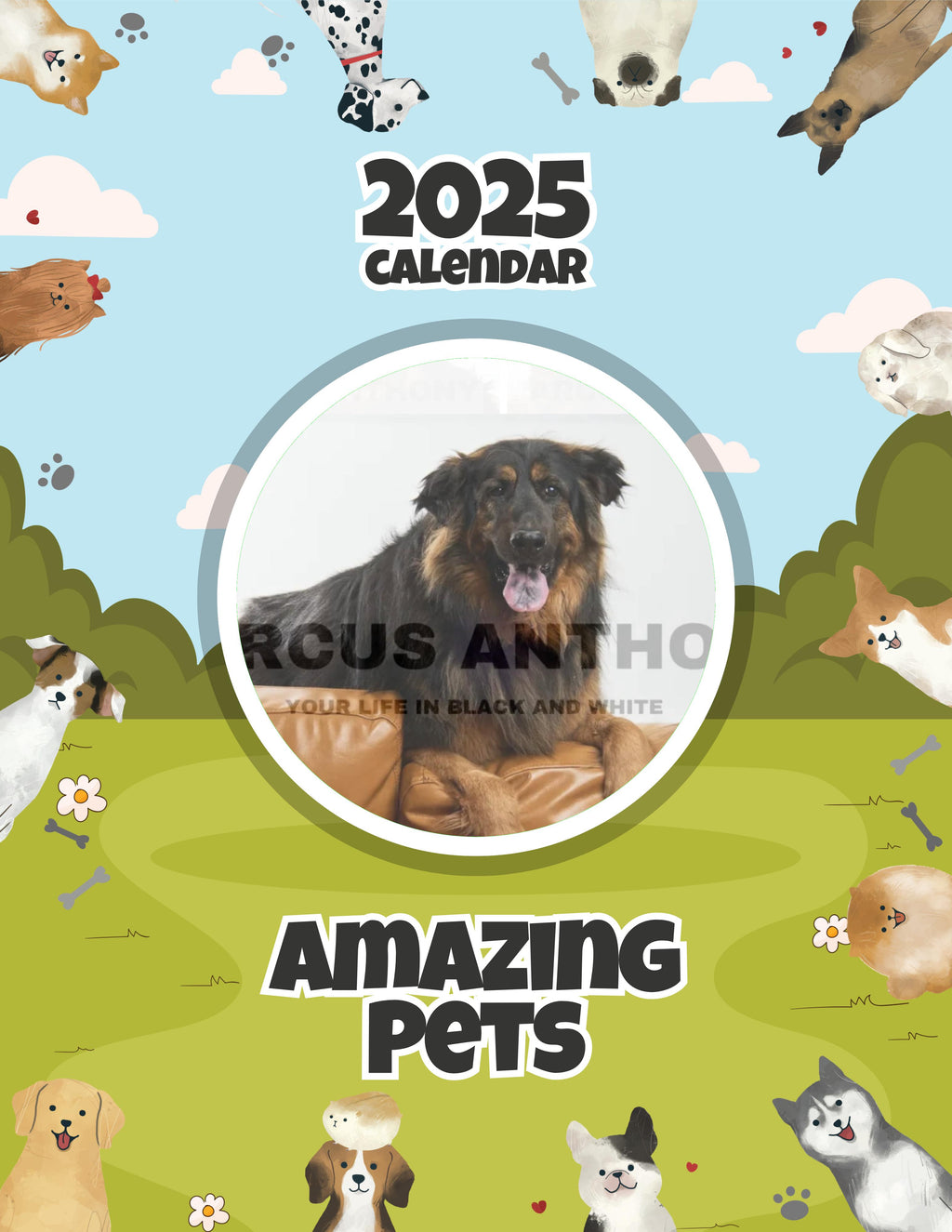 Amazing Pets: 2025 Wall Calendar (Pre-Order)