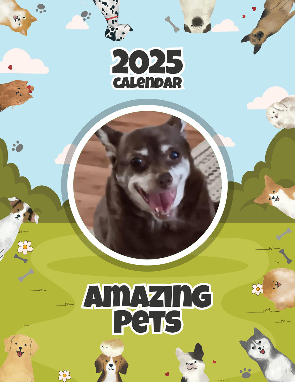 Amazing Pets: 2025 Wall Calendar (Pre-Order)