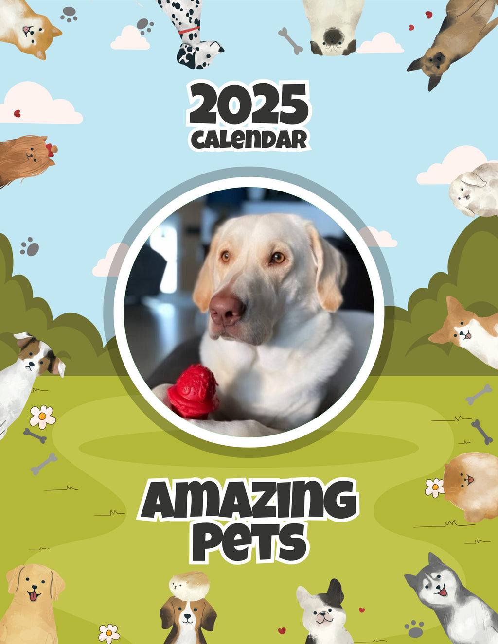 Amazing Pets: 2025 Wall Calendar (Pre-Order)