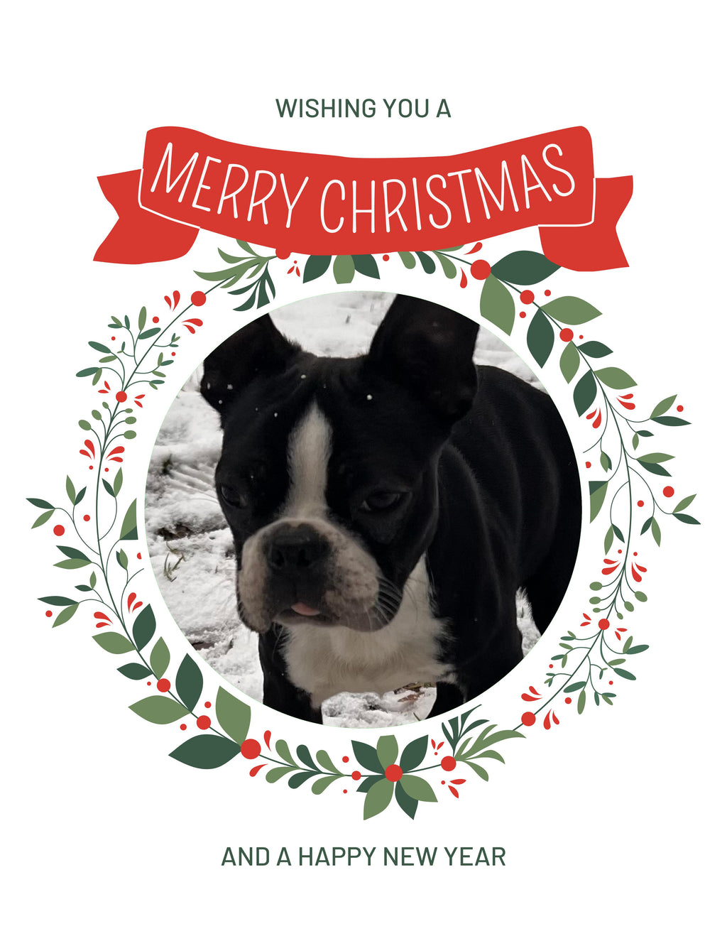 Boston terrier Christmas Greeting Cards