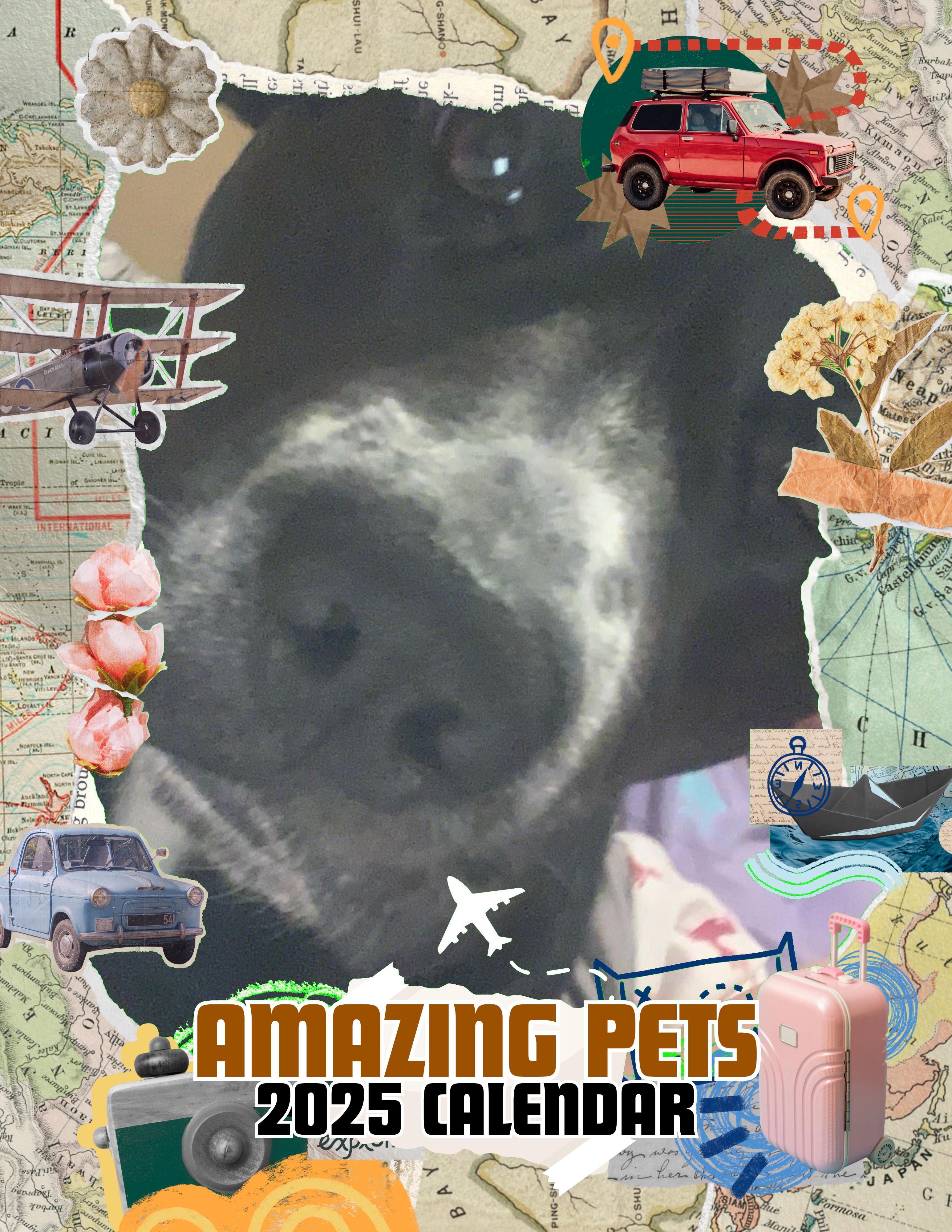 Amazing Pets: 2025 Wall Calendar (Pre-Order)