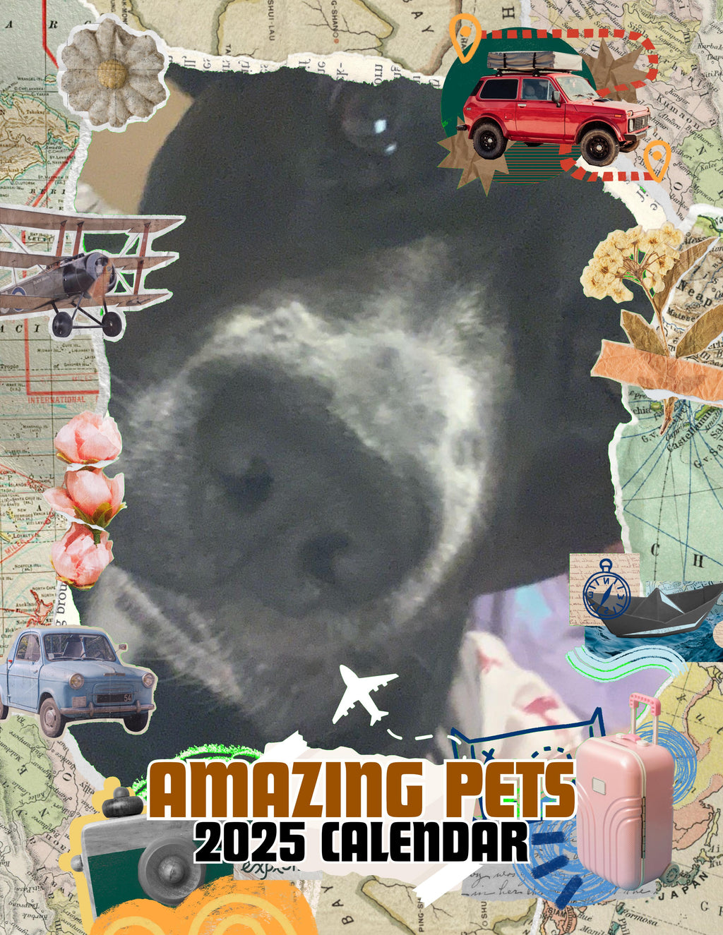 Amazing Pets: 2025 Wall Calendar (Pre-Order)