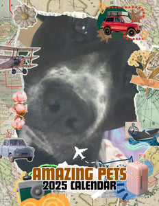 Amazing Pets: 2025 Wall Calendar (Pre-Order)