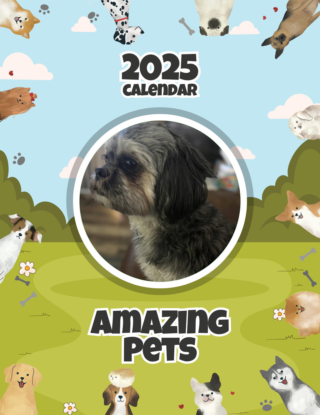 Amazing Pets: 2025 Wall Calendar (Pre-Order)
