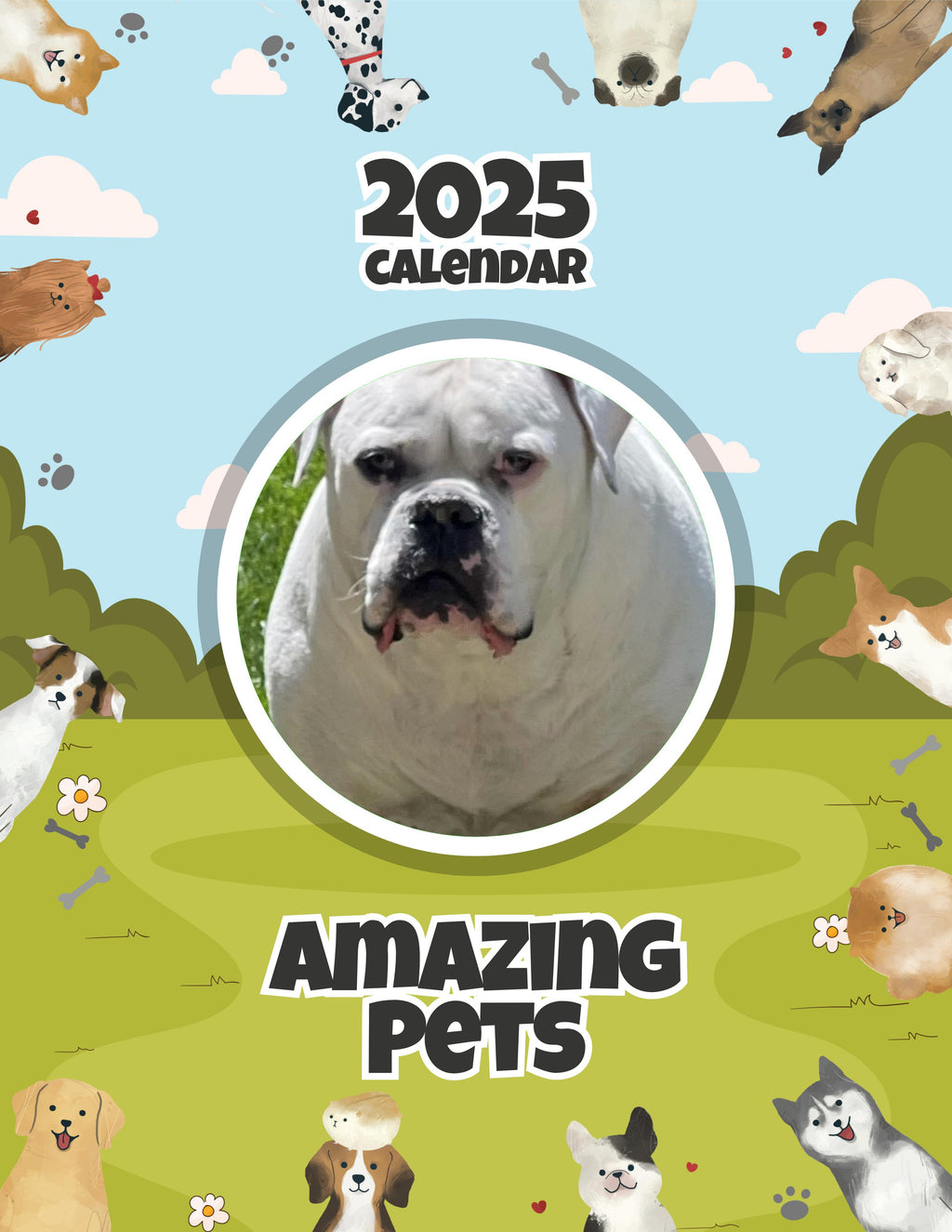 Amazing Pets: 2025 Wall Calendar (Pre-Order)
