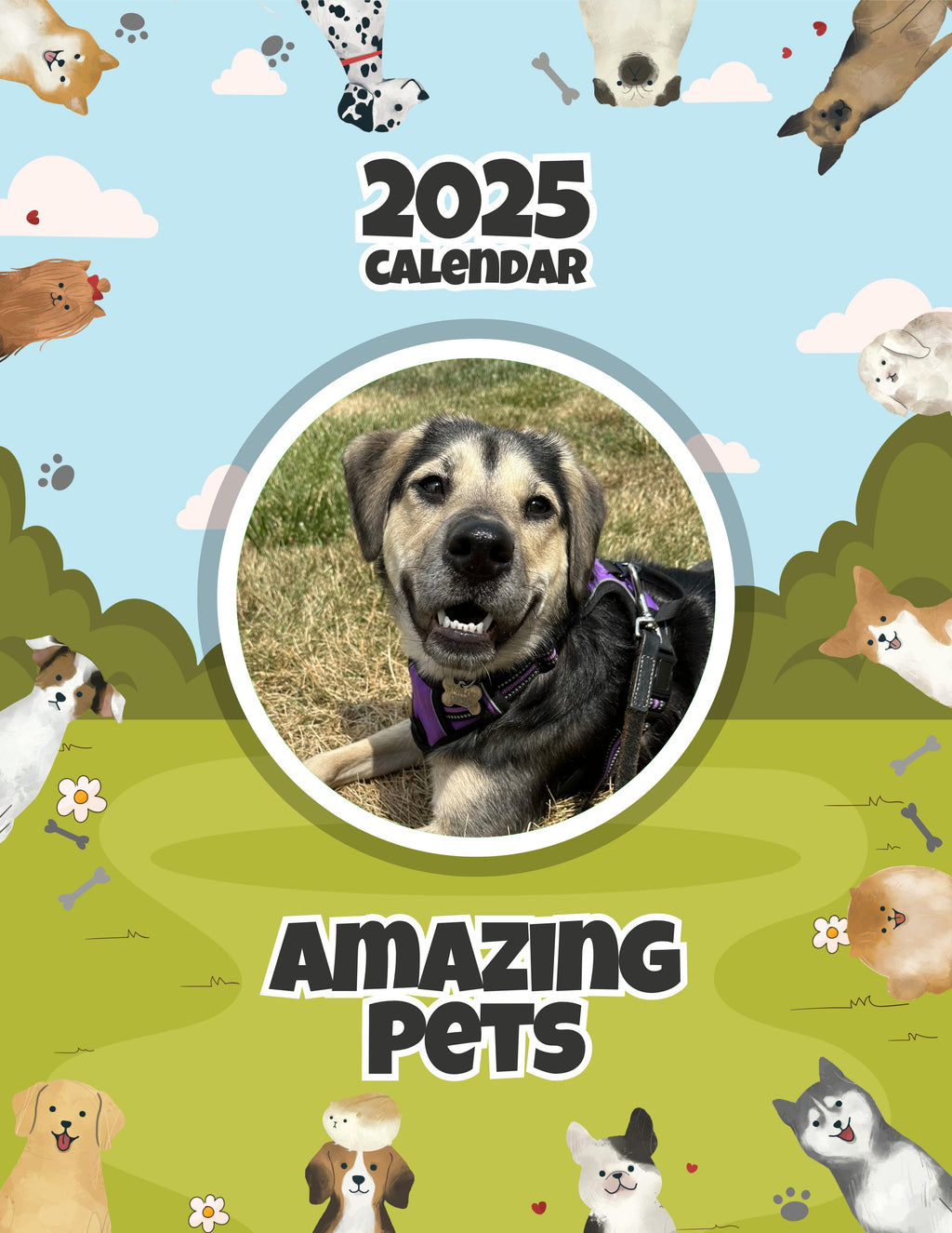 Amazing Pets: 2025 Wall Calendar (Pre-Order)