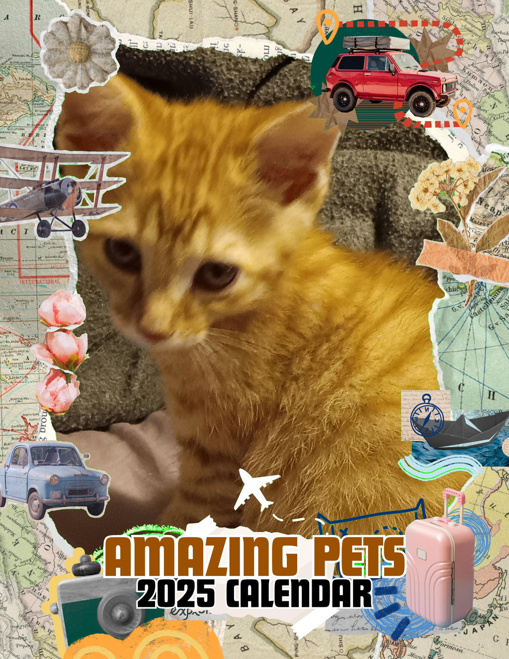 Amazing Pets: 2025 Wall Calendar (Pre-Order)