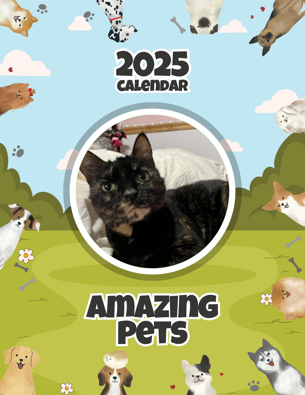 Amazing Pets: 2025 Wall Calendar (Pre-Order)