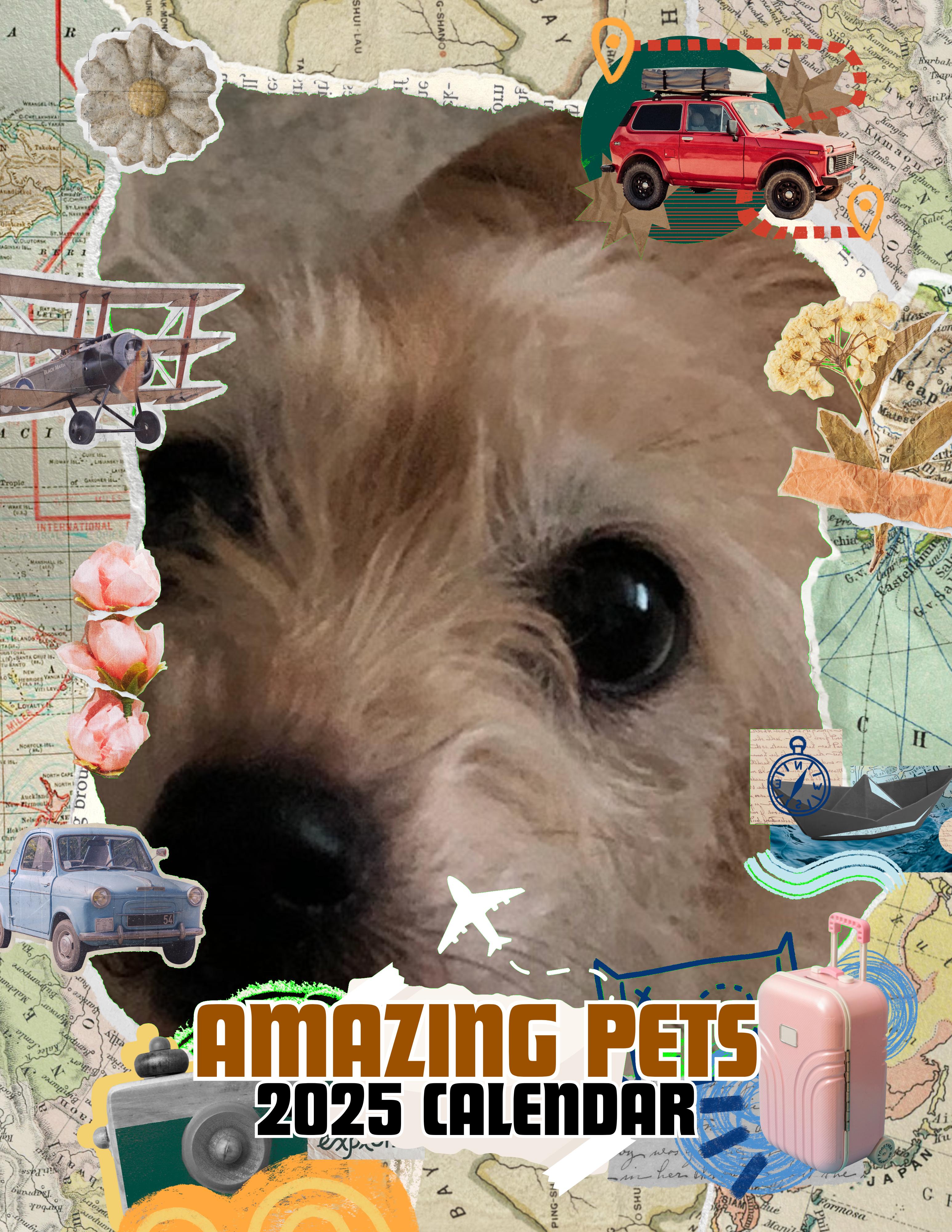 Amazing Pets: 2025 Wall Calendar (Pre-Order)