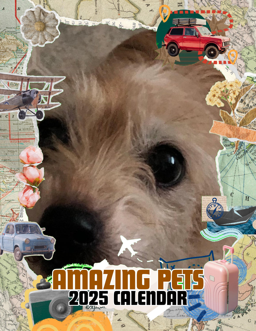 Amazing Pets: 2025 Wall Calendar (Pre-Order)