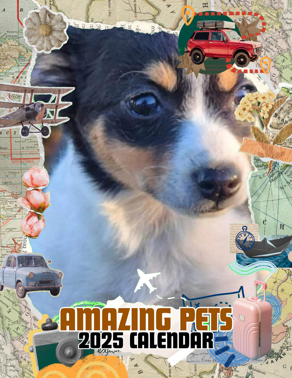 Amazing Pets: 2025 Wall Calendar (Pre-Order)