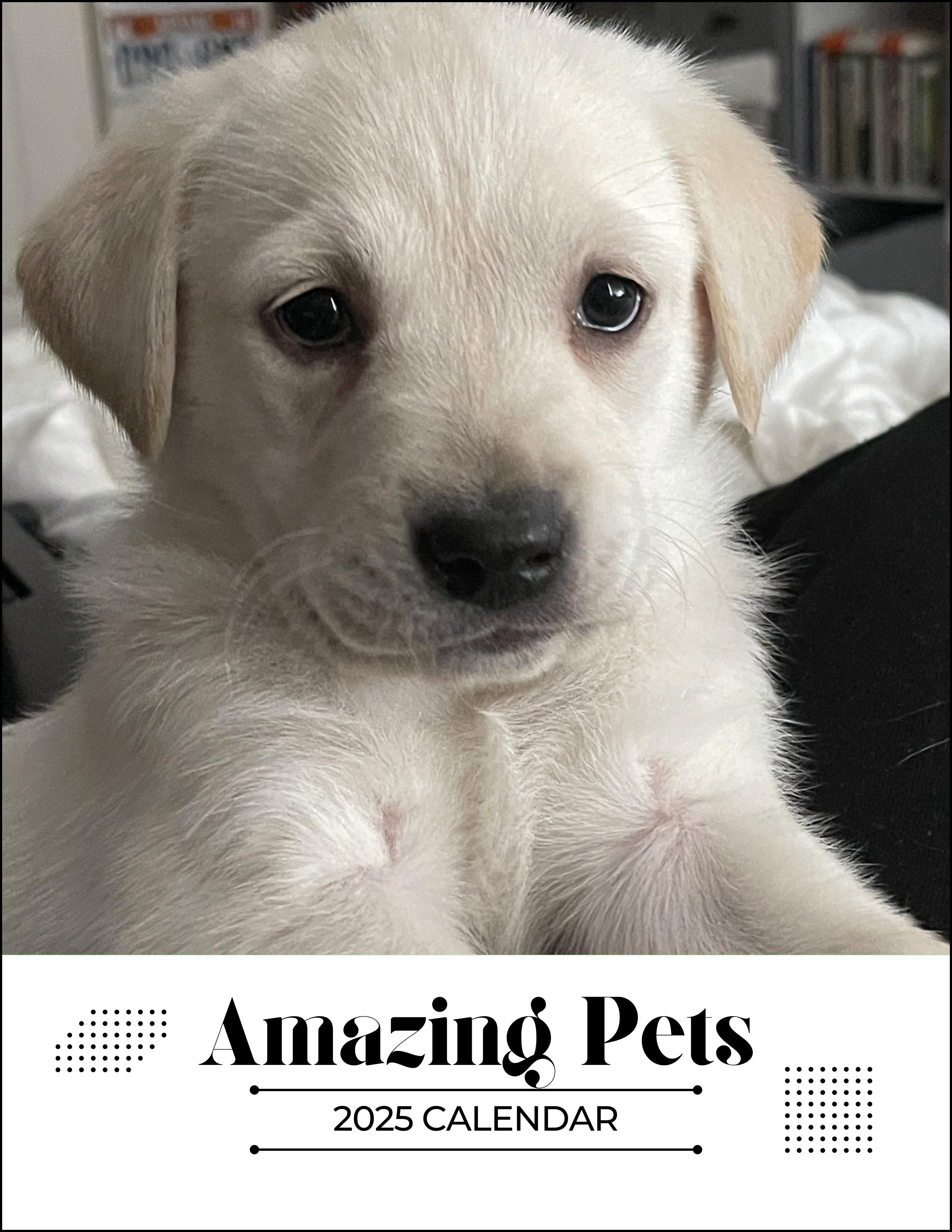 Amazing Pets: 2025 Wall Calendar (Pre-Order)