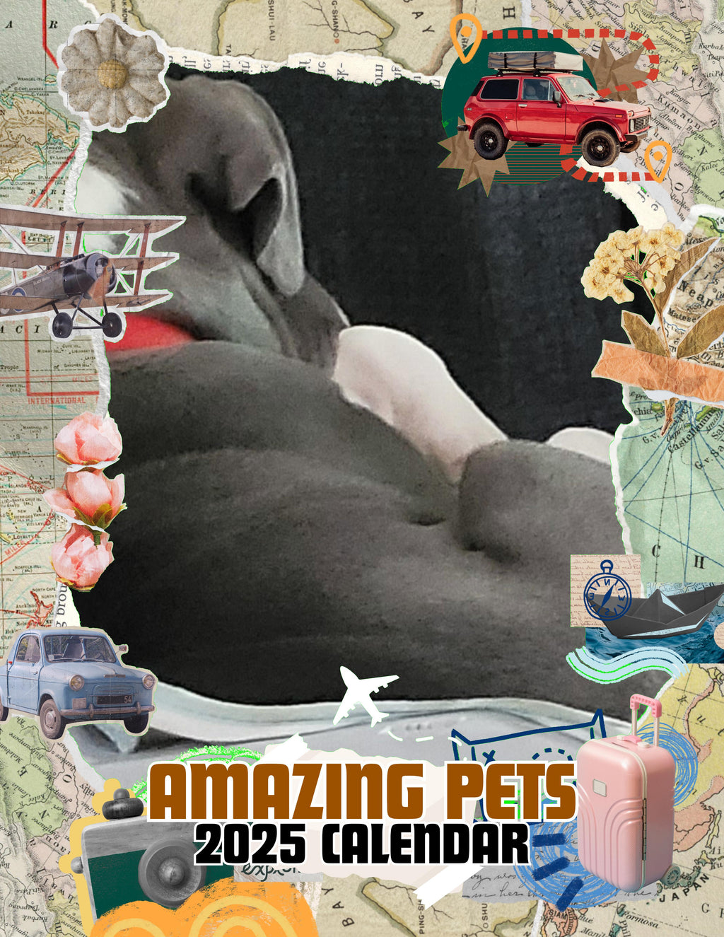 Amazing Pets: 2025 Wall Calendar (Pre-Order)