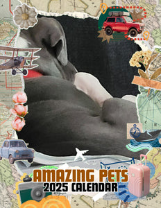 Amazing Pets: 2025 Wall Calendar (Pre-Order)