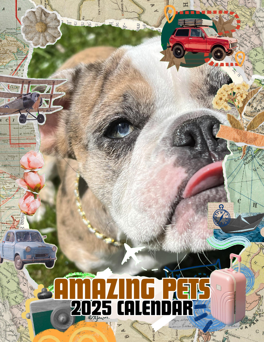Amazing Pets: 2025 Wall Calendar (Pre-Order)