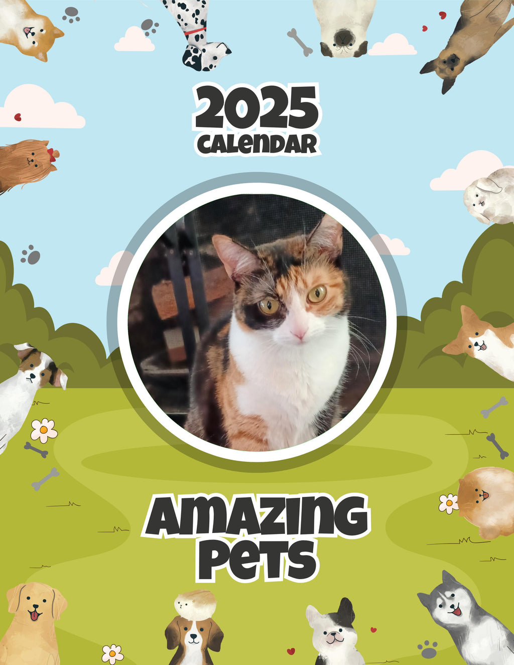 Amazing Pets: 2025 Wall Calendar (Pre-Order)