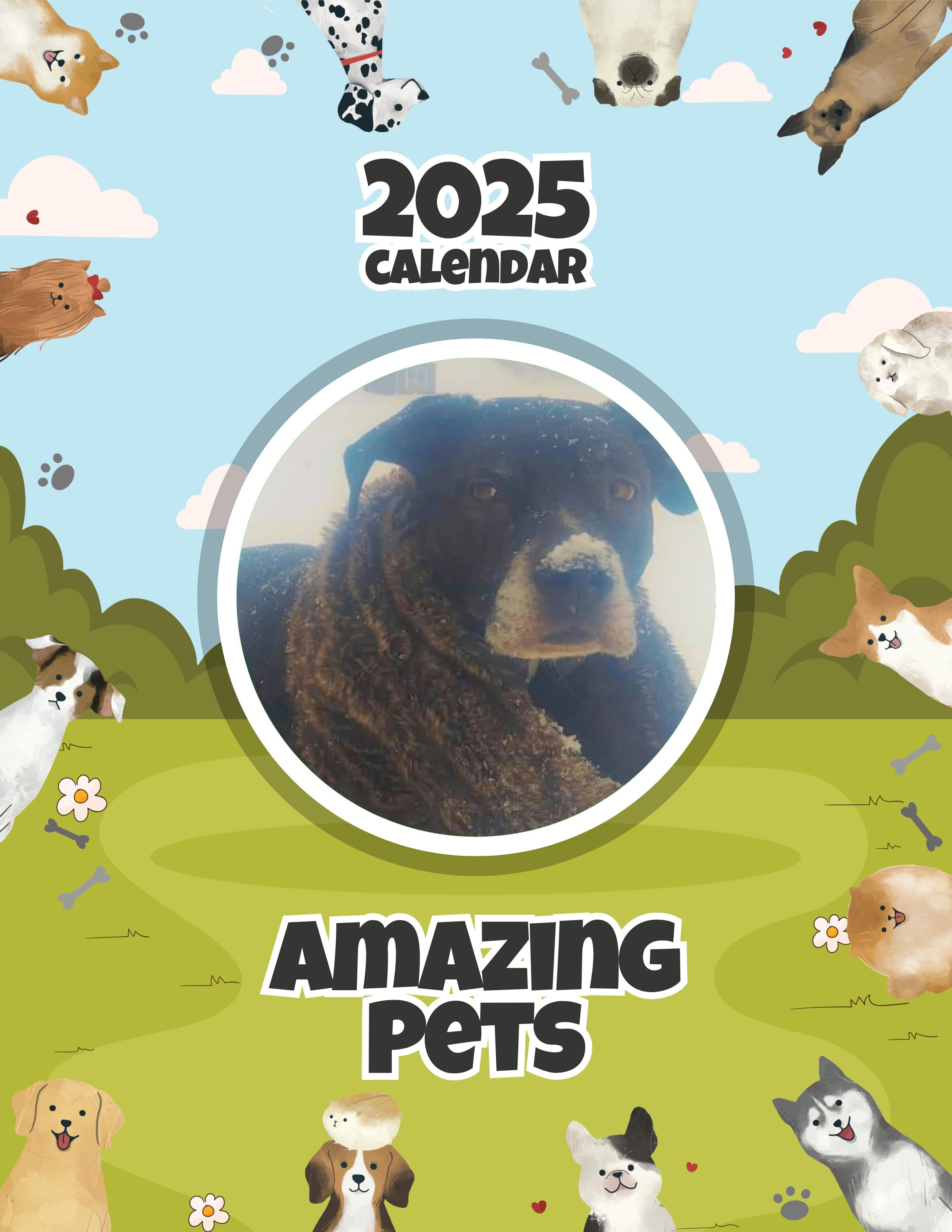 Amazing Pets: 2025 Wall Calendar (Pre-Order)