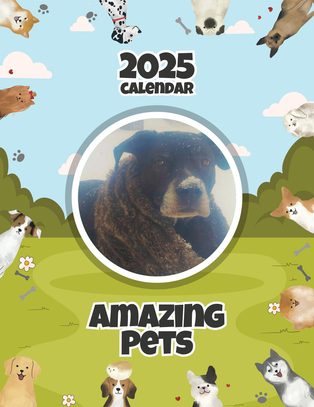 Amazing Pets: 2025 Wall Calendar (Pre-Order)