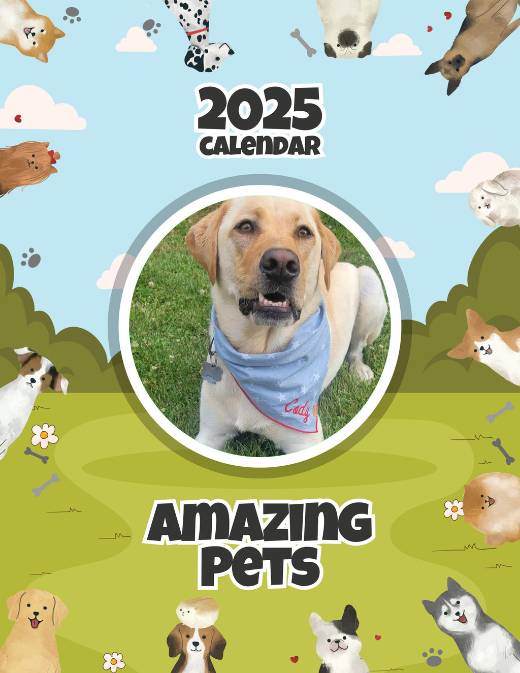 Amazing Pets: 2025 Wall Calendar (Pre-Order)