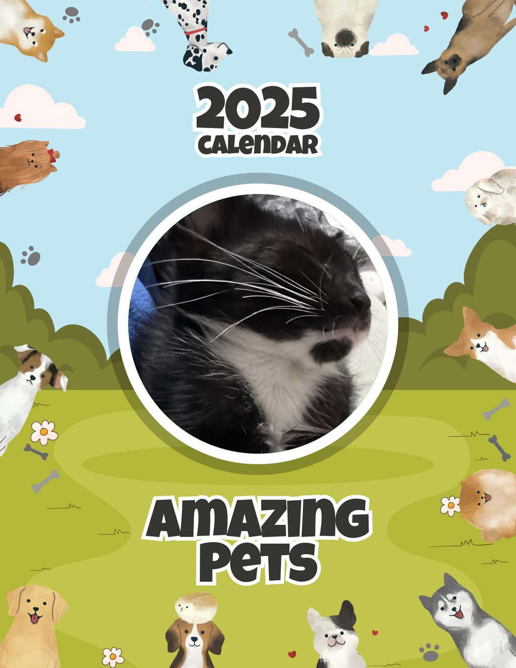 Amazing Pets: 2025 Wall Calendar (Pre-Order)