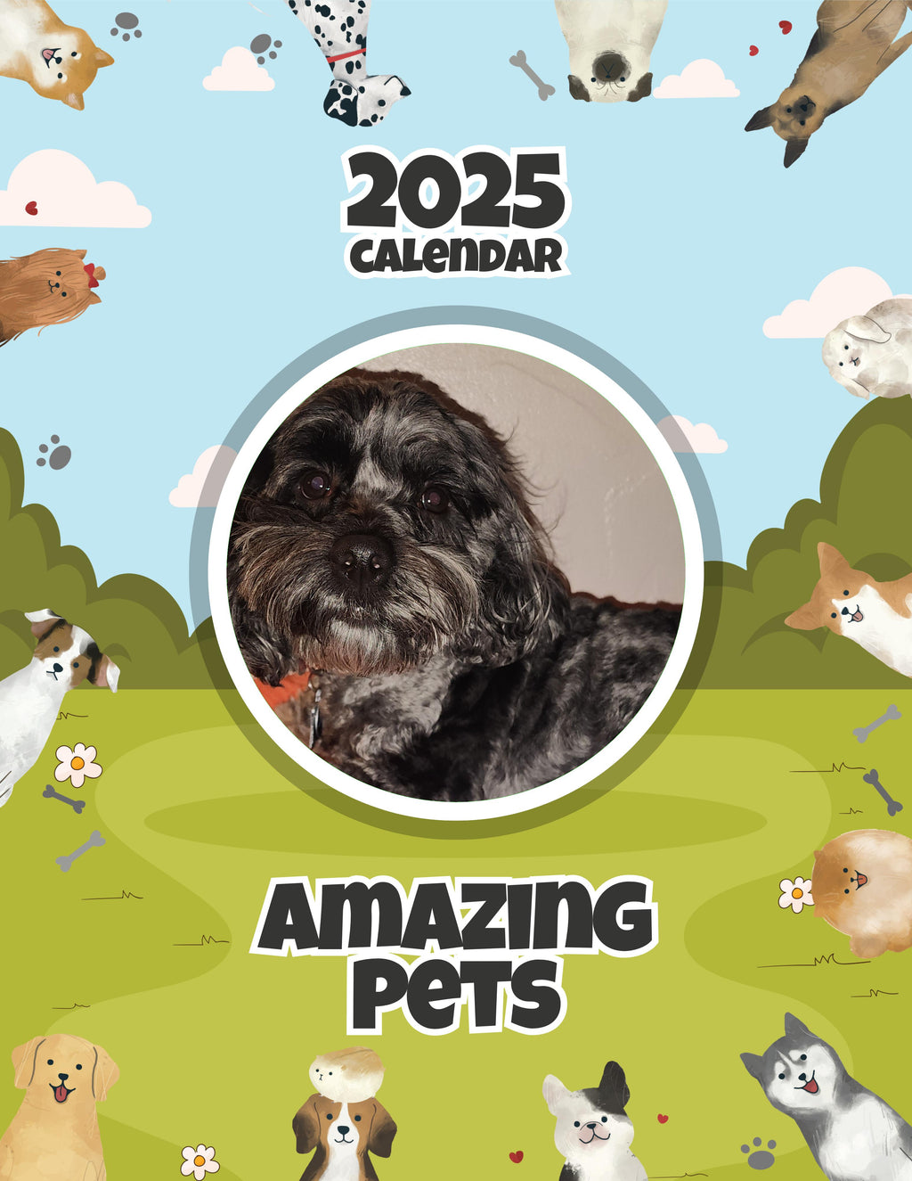 Amazing Pets: 2025 Wall Calendar (Pre-Order)