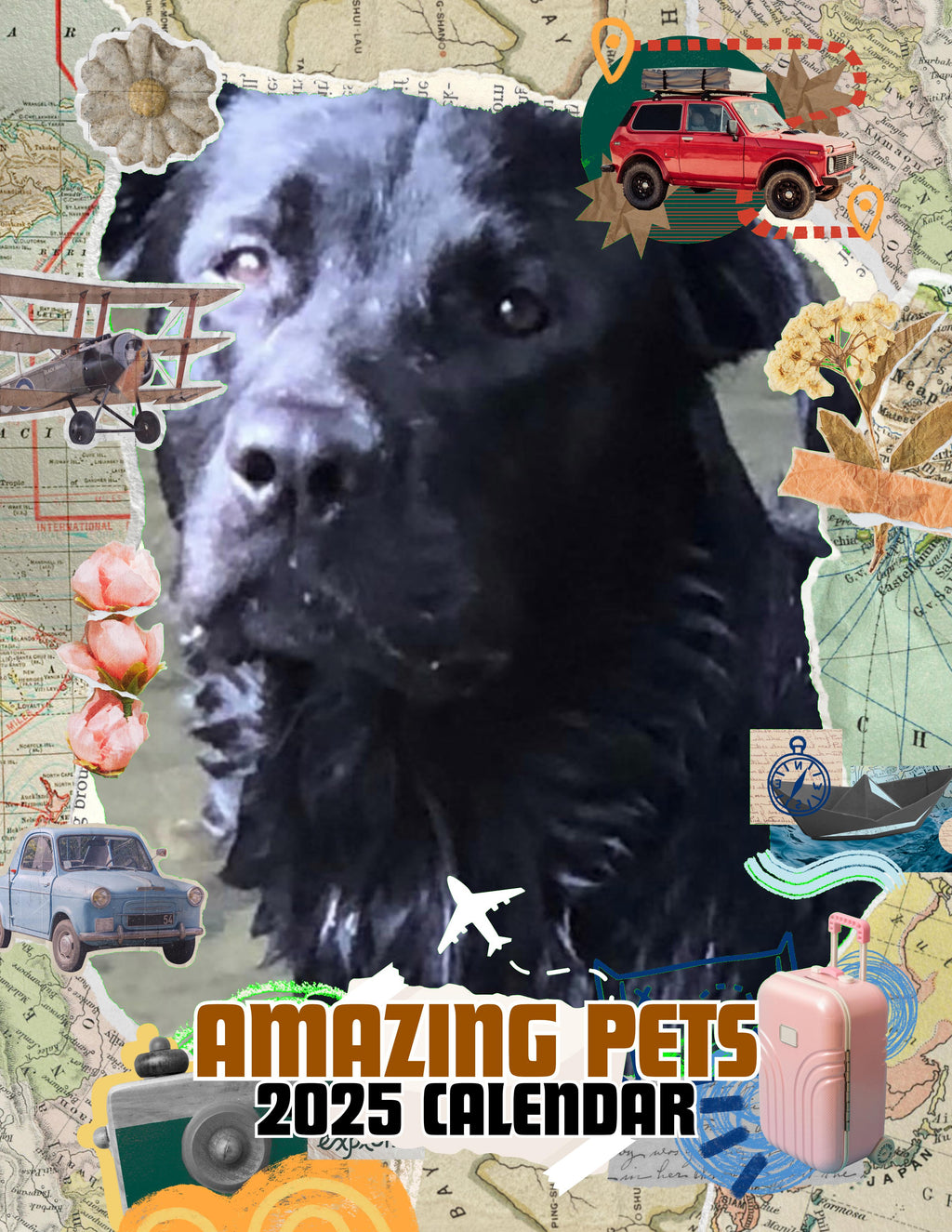 Amazing Pets: 2025 Wall Calendar (Pre-Order)