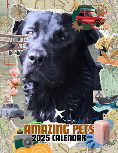Amazing Pets: 2025 Wall Calendar (Pre-Order)