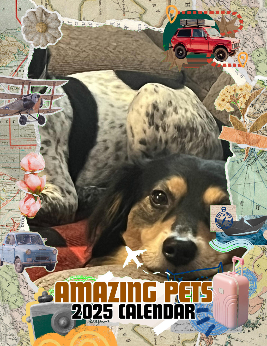 Amazing Pets: 2025 Wall Calendar (Pre-Order)