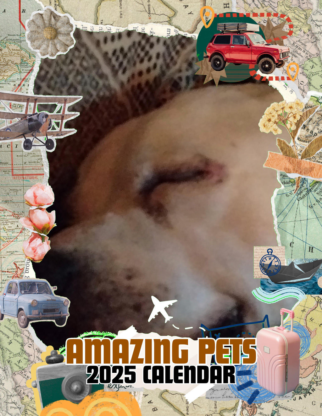 Amazing Pets: 2025 Wall Calendar (Pre-Order)