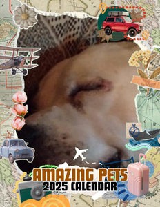 Amazing Pets: 2025 Wall Calendar (Pre-Order)