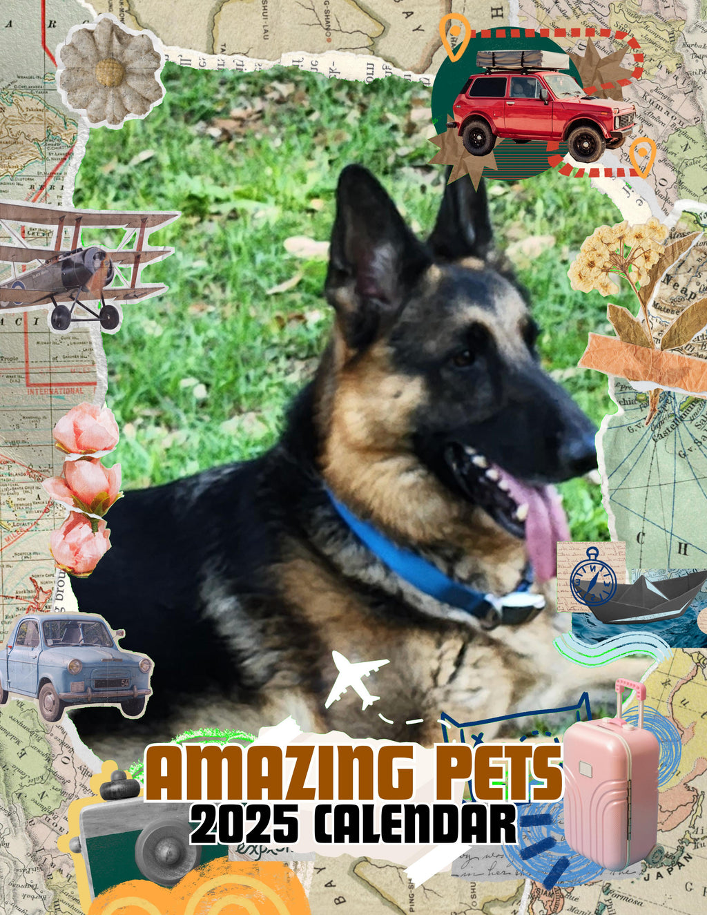 Amazing Pets: 2025 Wall Calendar (Pre-Order)