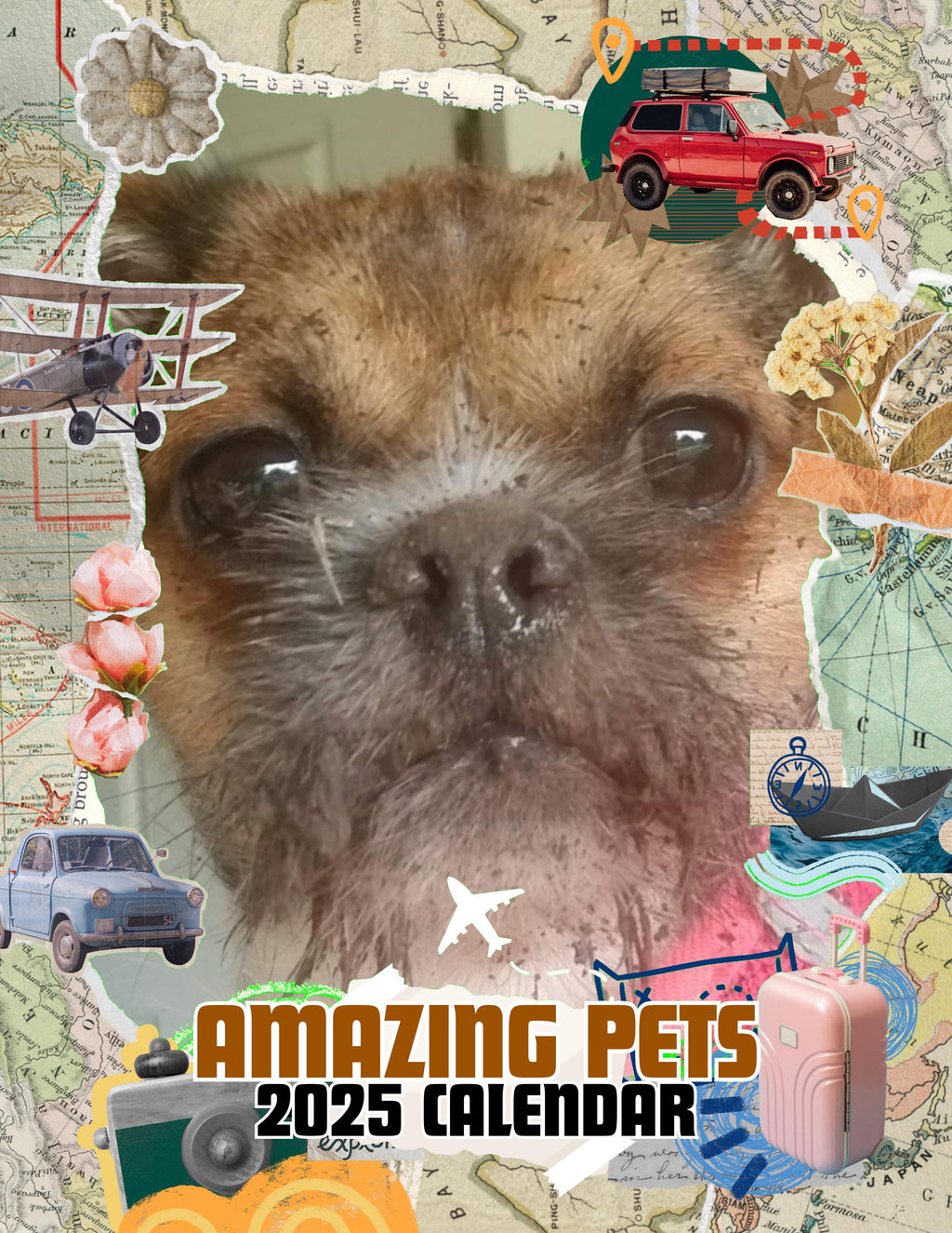 Amazing Pets: 2025 Wall Calendar (Pre-Order)