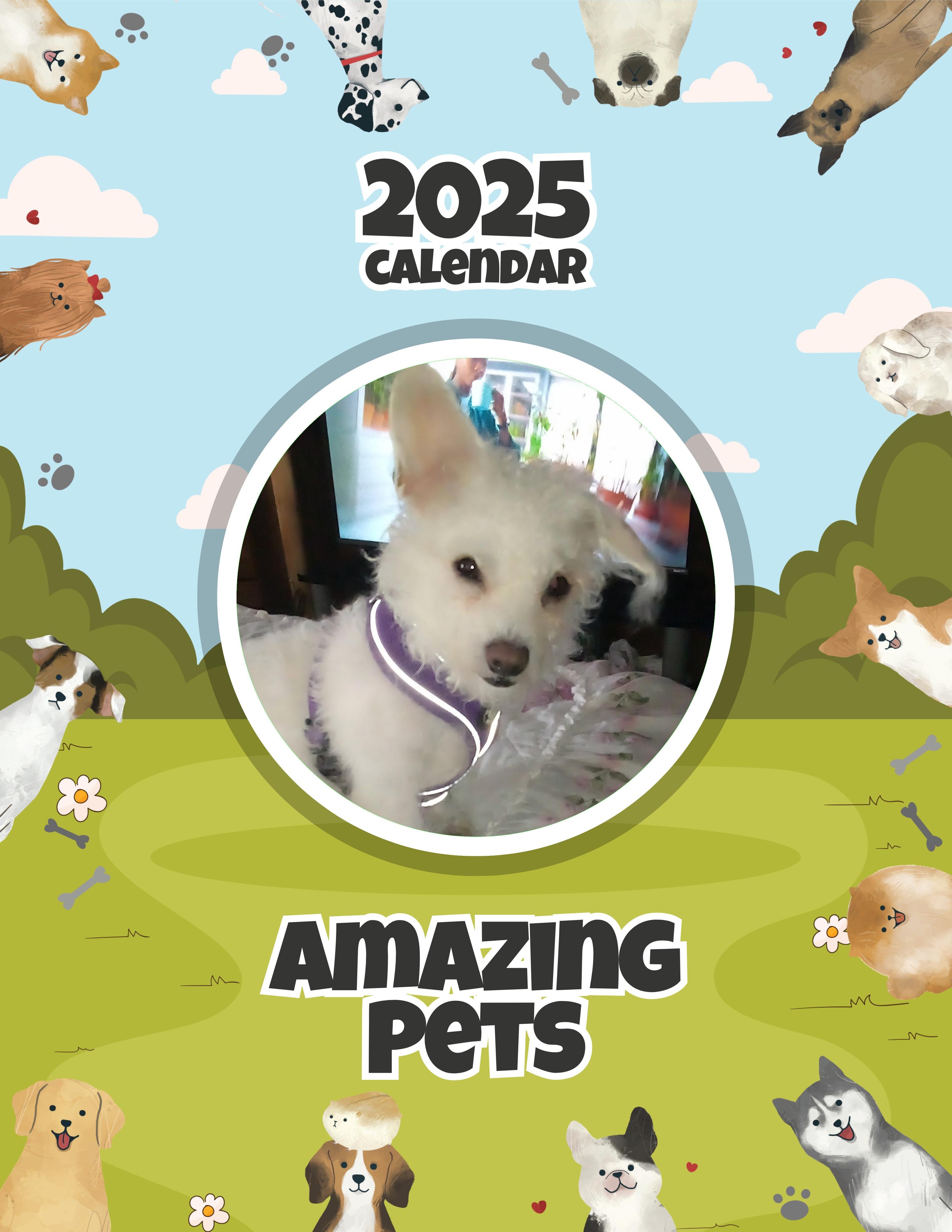 Amazing Pets: 2025 Wall Calendar (Pre-Order)