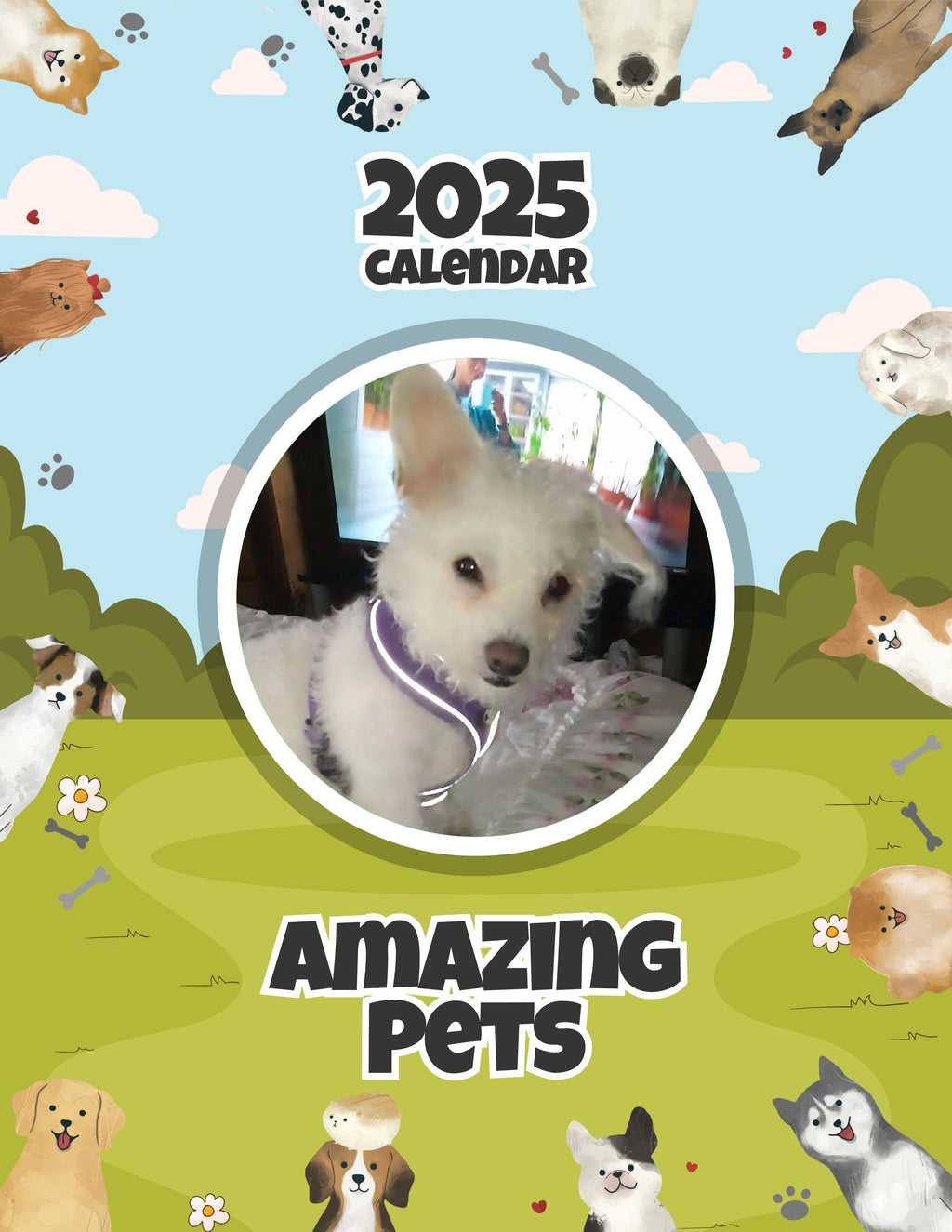 Amazing Pets: 2025 Wall Calendar (Pre-Order)