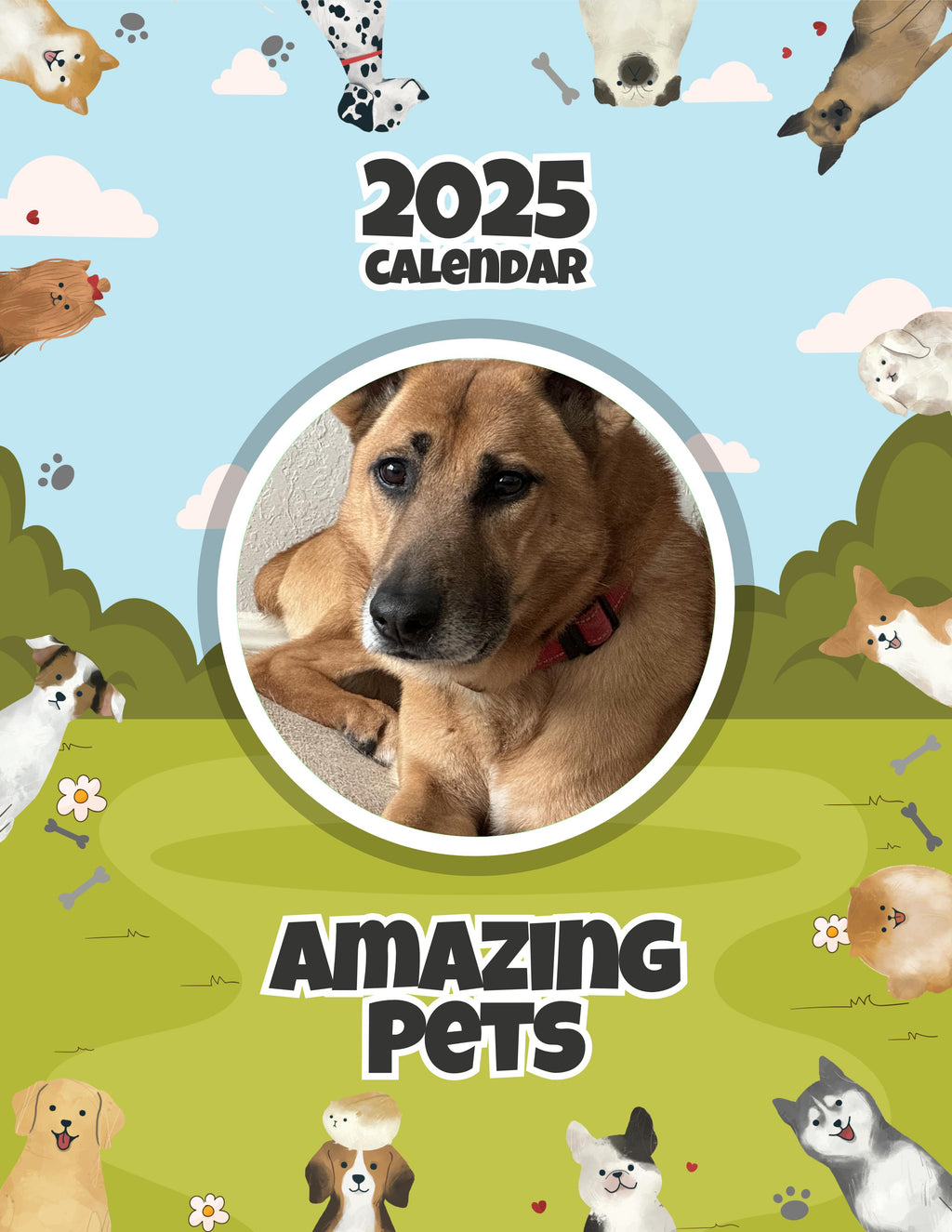 Amazing Pets: 2025 Wall Calendar (Pre-Order)