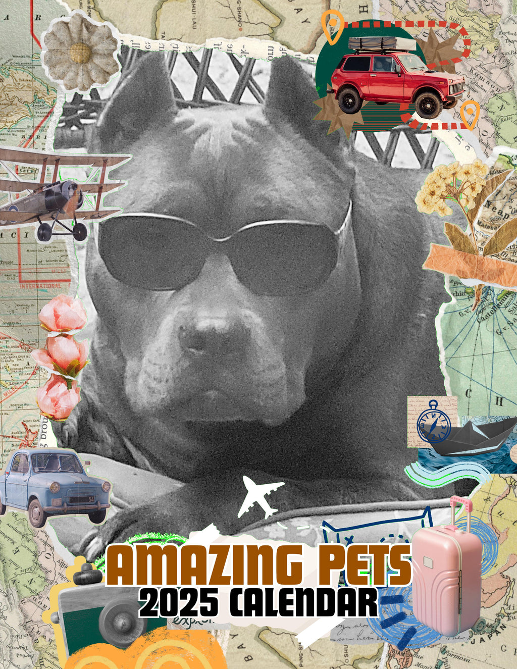 Amazing Pets: 2025 Wall Calendar (Pre-Order)