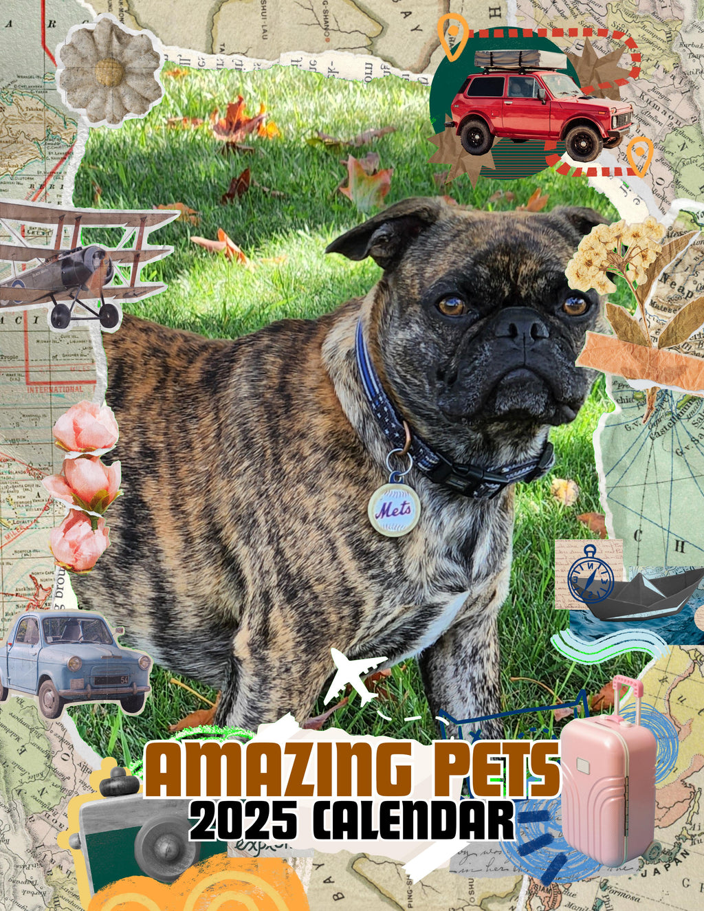 Amazing Pets: 2025 Wall Calendar (Pre-Order)
