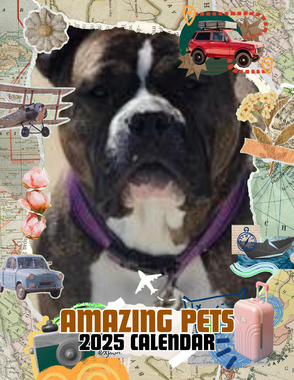 Amazing Pets: 2025 Wall Calendar (Pre-Order)