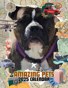 Amazing Pets: 2025 Wall Calendar (Pre-Order)