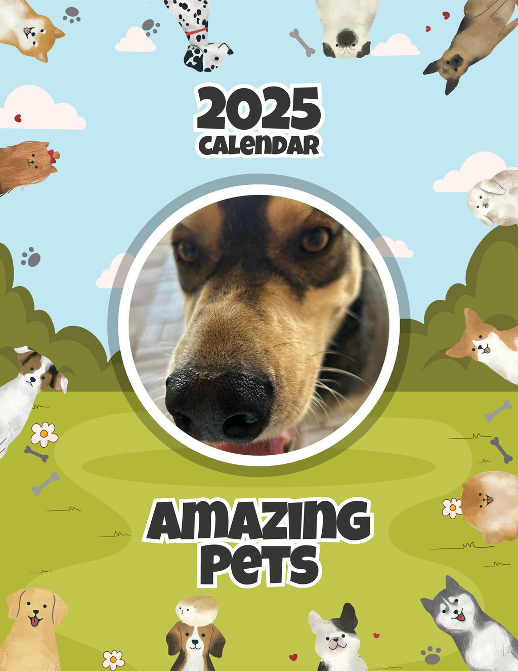 Amazing Pets: 2025 Wall Calendar (Pre-Order)