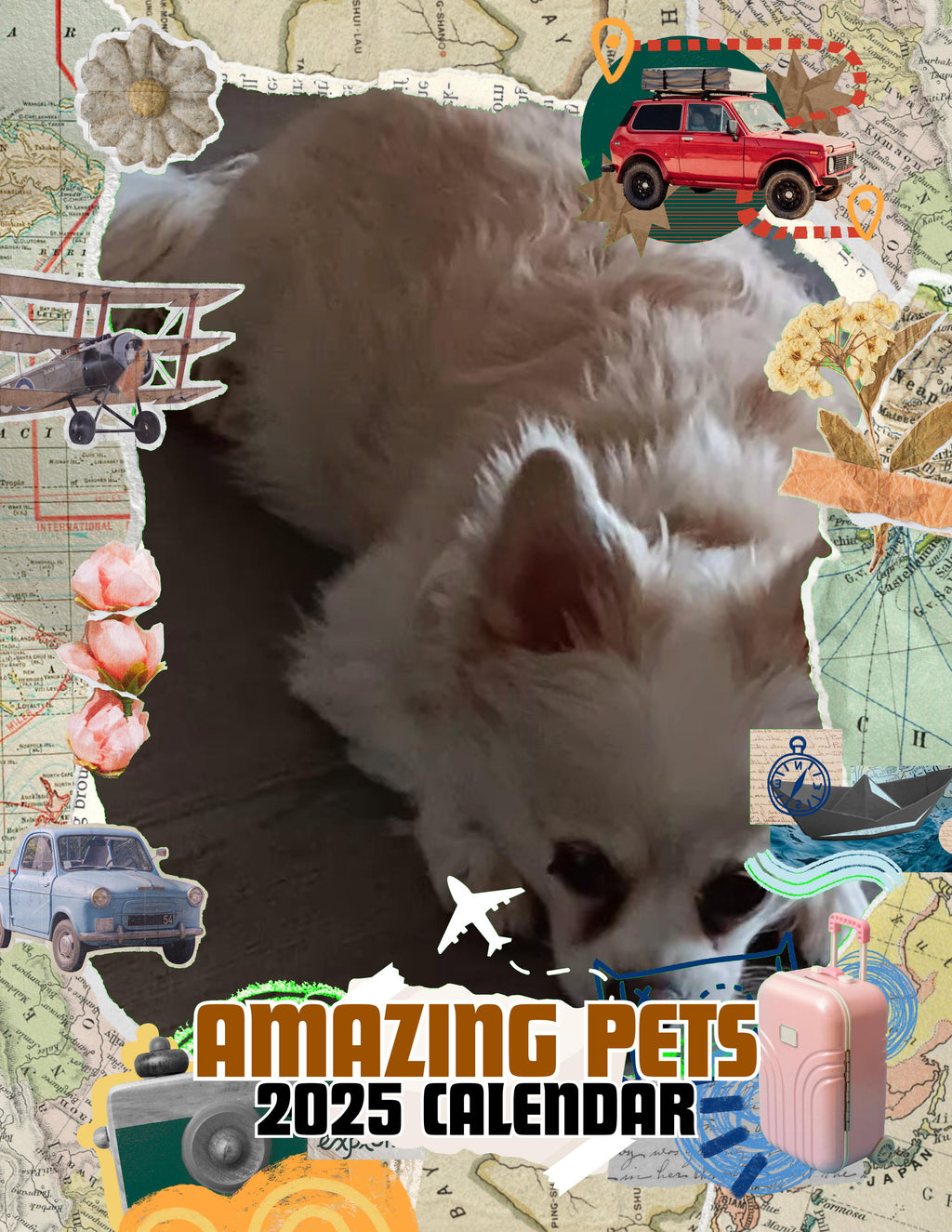 Amazing Pets: 2025 Wall Calendar (Pre-Order)