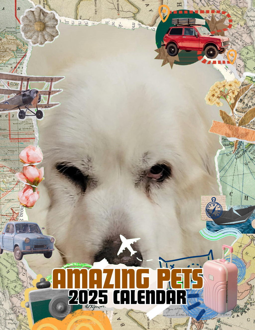 Amazing Pets: 2025 Wall Calendar (Pre-Order)