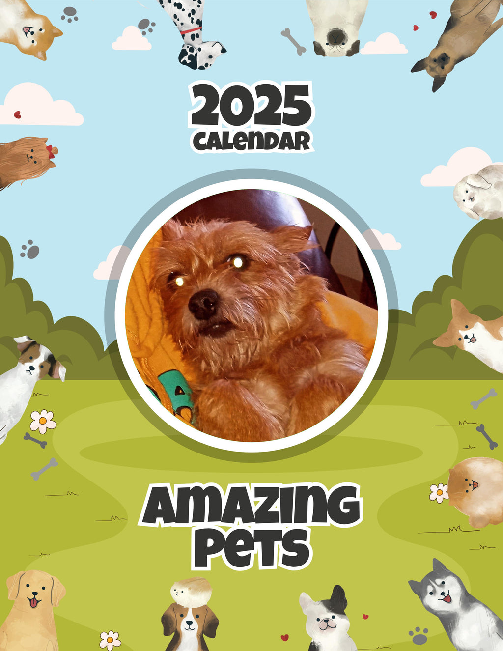 Amazing Pets: 2025 Wall Calendar (Pre-Order)