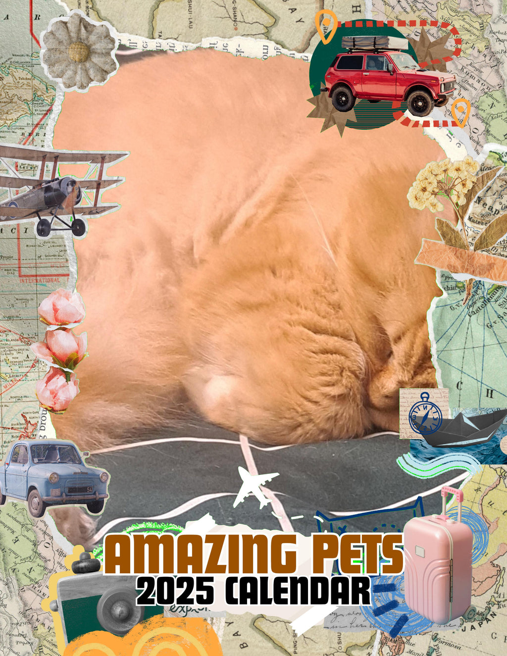 Amazing Pets: 2025 Wall Calendar (Pre-Order)