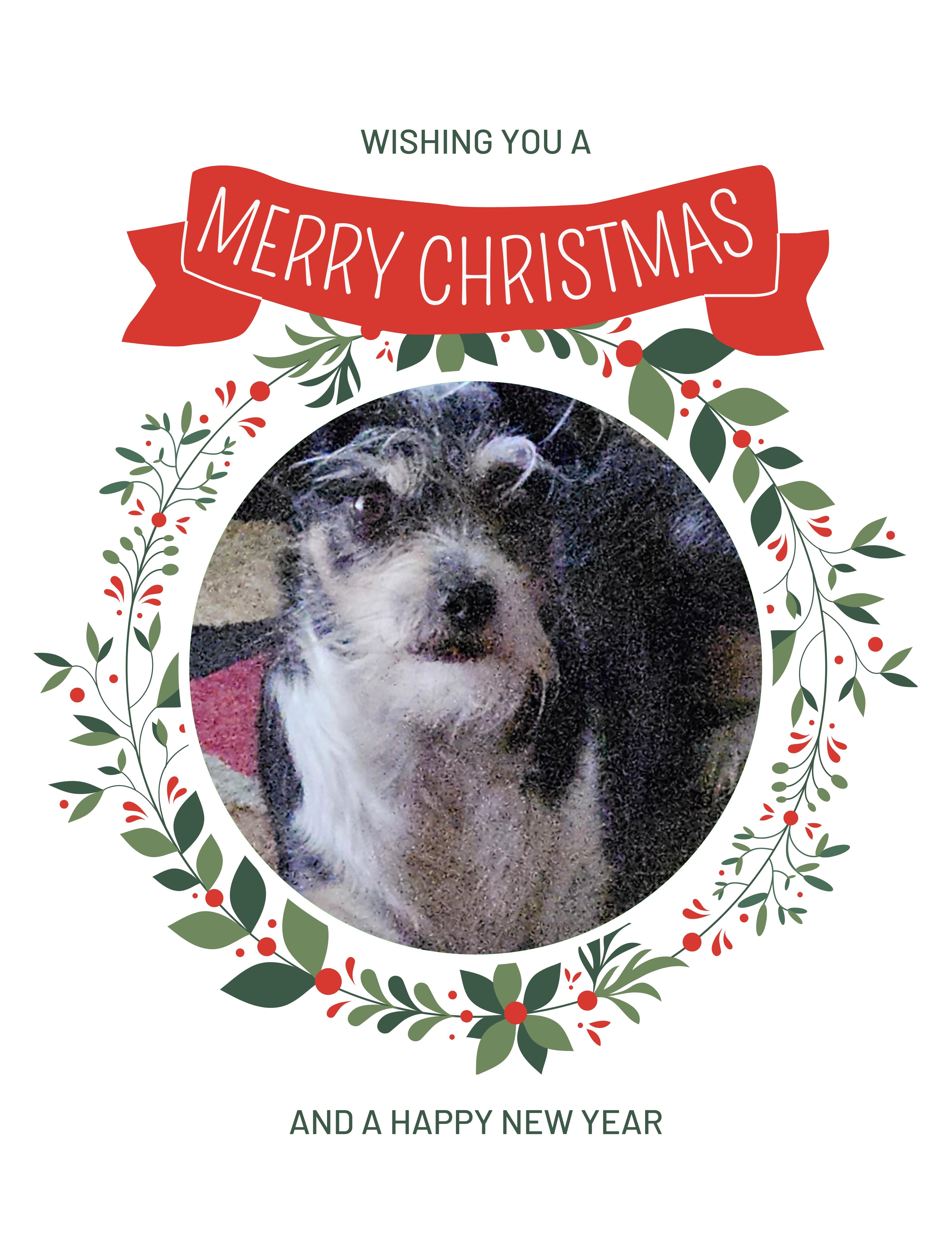 Jackson Christmas Greeting Cards