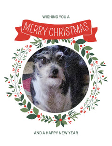 Jackson Christmas Greeting Cards